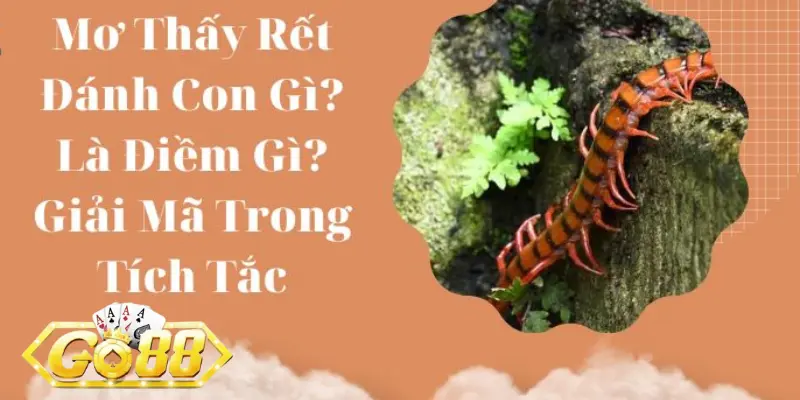 Mơ thấy rết thì đánh con gì cho may mắn?