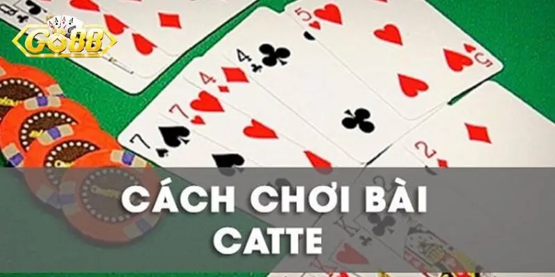 Luật chơi Catte chi tiết và chuẩn xác nhất